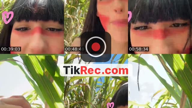 @mavis_indiazinha TikTok live from 2026-09-10