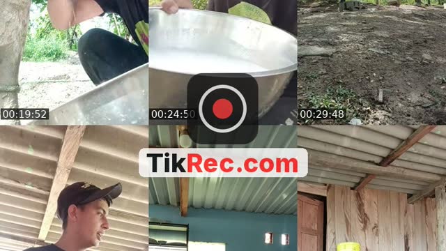 TikTok live: hello💜 sacando la cuajada 🧀 by @juan_diego520