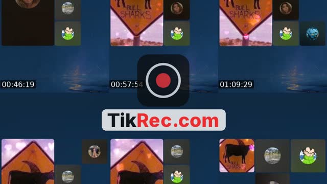 @ericaeverywhere70 TikTok live from 2026-09-11