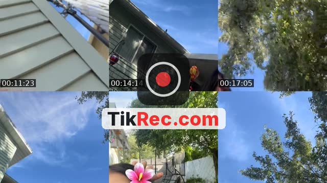 @bxbyyy.zky11 TikTok live from 2026-09-10