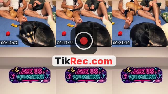 @eytanofficial TikTok live from 2026-09-11