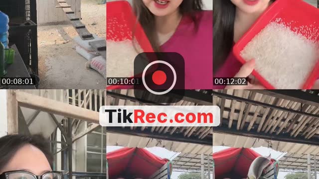 @berasnyonyabesar TikTok live from 2026-09-11