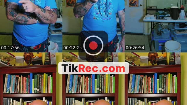 @project_reptilia TikTok live from 2026-09-12