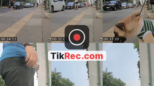 TikTok live: 📷spot GBK jakarta by @vynta_h