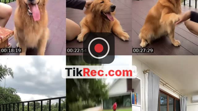 @tuazorfamily TikTok live
