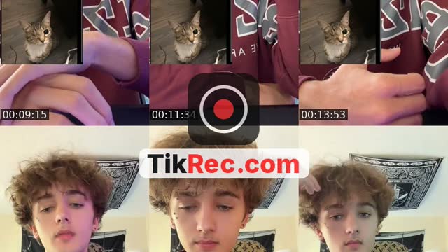 TikTok live: Come vibe/gifting optional by @ypbee
