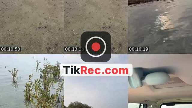 @za.zau1 TikTok live