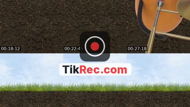 @chungtolavelella TikTok live