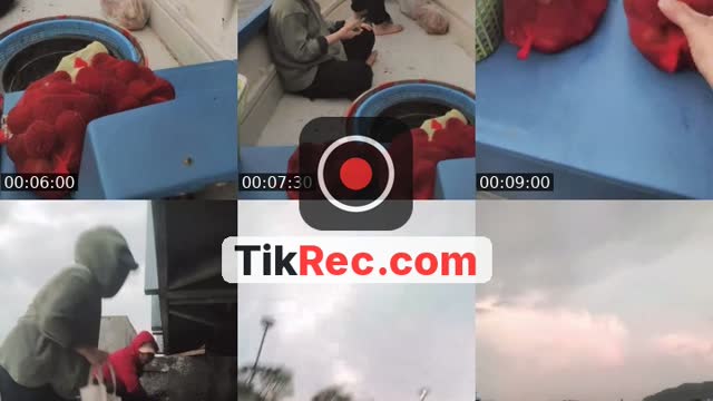 @radieighteight TikTok live