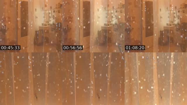 TikTok live: hallo gemischte Musik by @user5230592713337