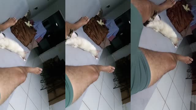 @milton.jos.silva91 TikTok live from 2026-08-20