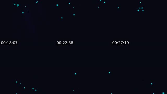 @realqueen607 TikTok live from 2026-08-19