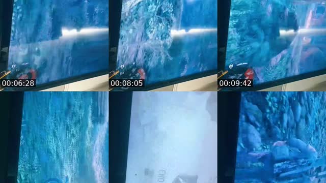 @liam85831 TikTok live from 2026-08-19