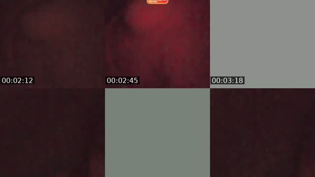 @uticuuwww TikTok live