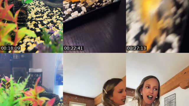 @colleenelizabethnyc TikTok live from 2026-08-19
