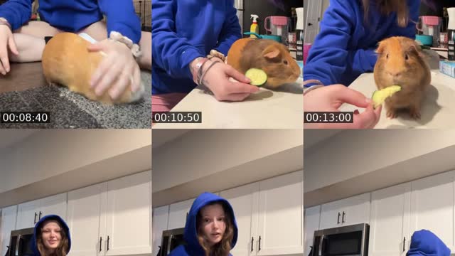 @lazynatrata TikTok live from 2026-08-19