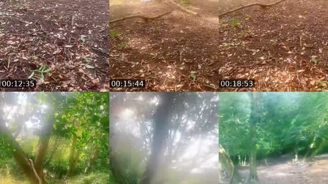 TikTok live: CHILLING  CHATTING OUTSIDE by @unfairbound