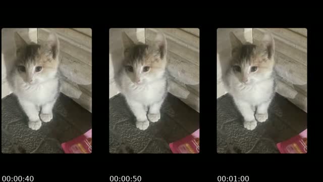 @n0name_n0c0m TikTok live from 2026-08-20