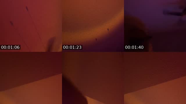 TikTok live: Clapper @Nolabratbby by @bratbby22
