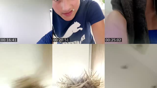@ziuteczek16 TikTok live from 2026-08-20