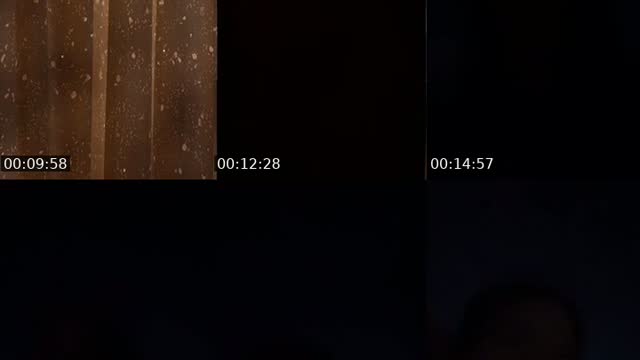 @stephanie1234567t TikTok live from 2026-08-20