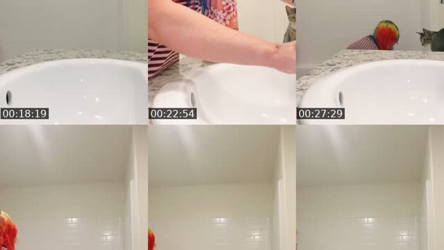 @brinabobeana TikTok live from 2026-08-20
