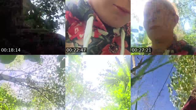 @misiaczek__misia TikTok live