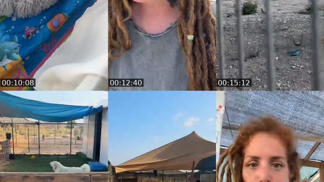 @shanti.farm.rescue Israel TikTok live from 2026-08-20