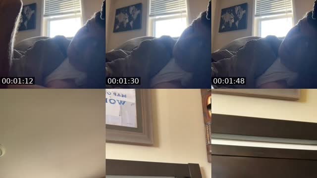 @tysmijzlzhl TikTok live