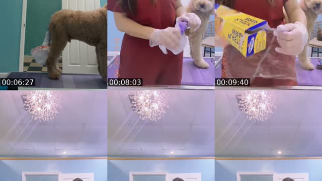@ceeceebloom2.0 TikTok live from 2026-08-21
