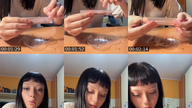 @lampumatimatilampu TikTok live from 2026-08-21