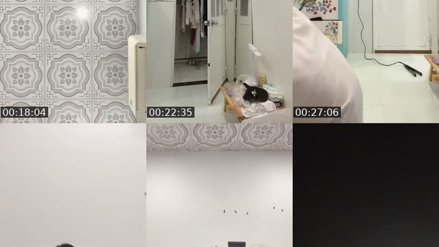@mycoffee.7979 TikTok live from 2026-08-20