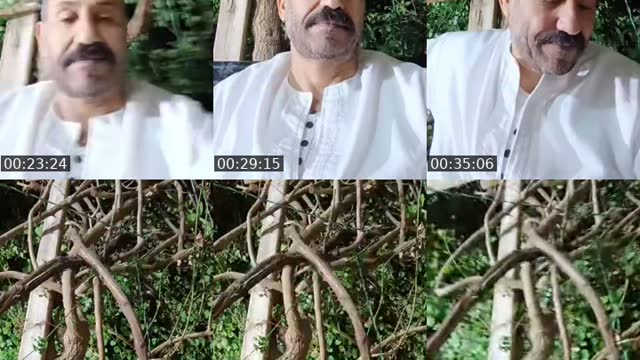 @arfatradwan TikTok live
