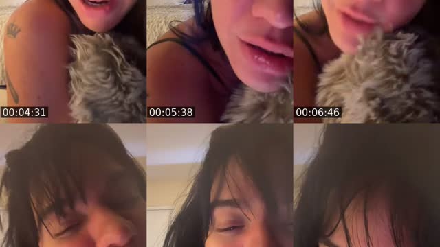 @tuchinit430 TikTok live from 2026-08-21