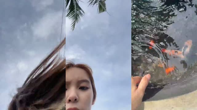 @beebeam47 TikTok live