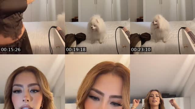 Mexico TikTok live: Acompáñame a la fiesta de zully by @livevaluval
