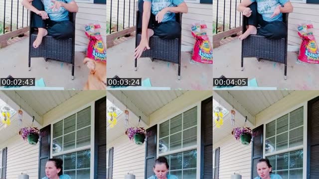 @therealbeestinger TikTok live from 2026-08-21