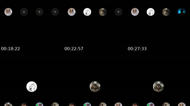 @vivivi_0_ TikTok live from 2026-08-21