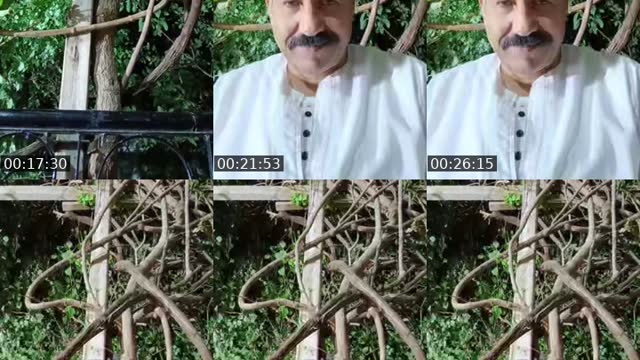 @arfatradwan TikTok live