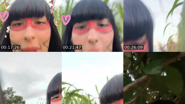 TikTok live: La selva by @mavis_indiazinha