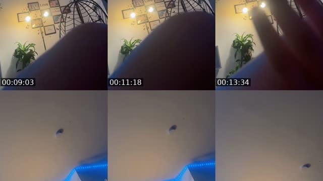 @neha_official200 TikTok live from 2026-08-21
