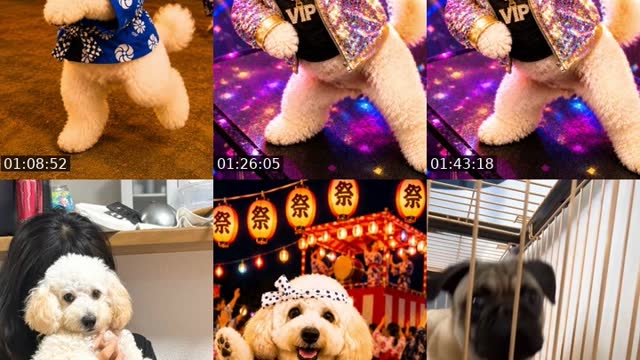 @natumin0523 TikTok live