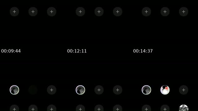 @vegeta.and.goku57 TikTok live