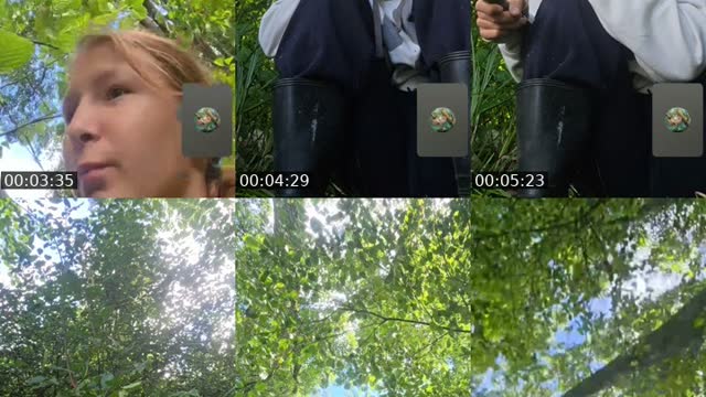 @misiaczek__misia TikTok live