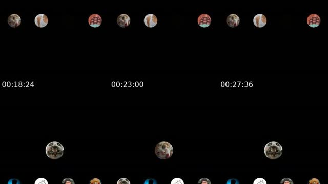 TikTok live: papoi by @vivivi_0_