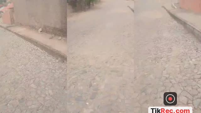 @noeliafranca253 TikTok live
