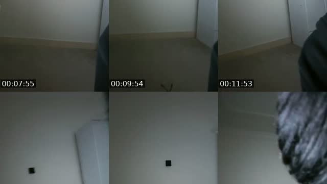 @nu.ii TikTok live from 2026-08-23