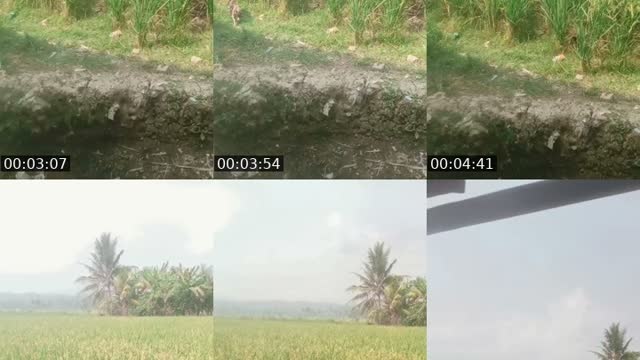 @fitriwanitakuat TikTok live