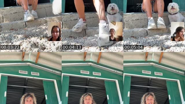 @asilovicodog TikTok live from 2026-08-24