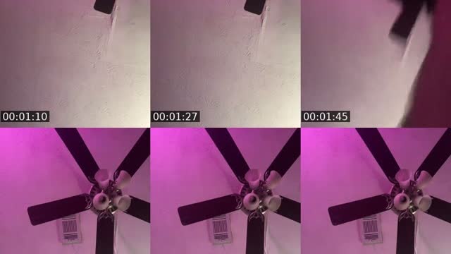 @kamikazikk TikTok live